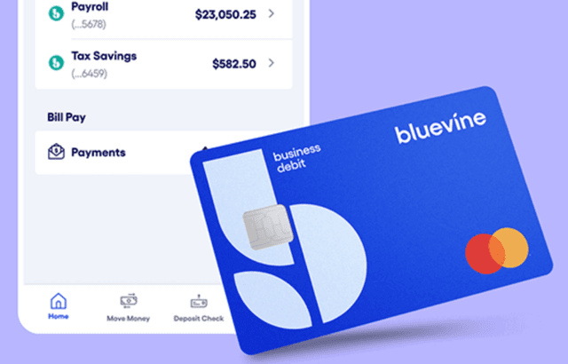 Banner for $300 Bonus with Bluevine Bank Account